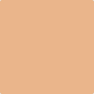 Shop Benajmin Moore's 109 Canyon Lands at West Whittier Paint. Whittier's local Benjamin Moore dealer. 