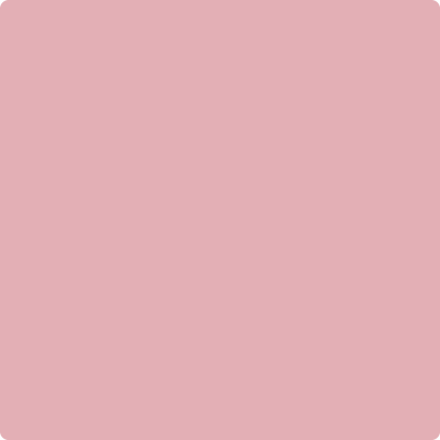 Shop Benajmin Moore's 2005-50 Pink Eraser at West Whittier Paint. Whittier's local Benjamin Moore dealer. 