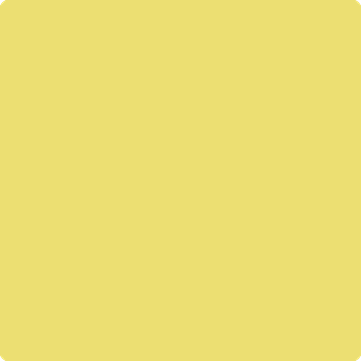 Shop Benajmin Moore's 2024-40 Yellow Finch at West Whittier Paint. Whittier's local Benjamin Moore dealer. 