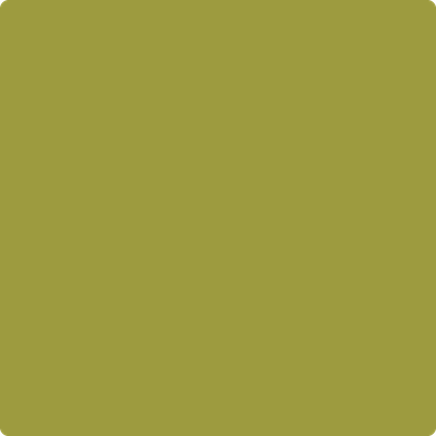 Shop Benajmin Moore's 2146-20 Forest Moss at West Whittier Paint. Whittier's local Benjamin Moore dealer. 