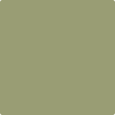 Shop Benajmin Moore's 482 Misted Fern at West Whittier Paint. Whittier's local Benjamin Moore dealer. 