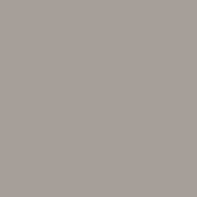 Shop Benajmin Moore's CSP-110 Vintage Pewter at West Whittier Paint. Whittier's local Benjamin Moore dealer. 