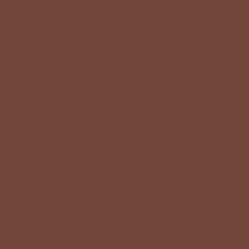 CW-260 Reid Brown a Benjamin Moore paint color from the Williamsburg Color Collection.
