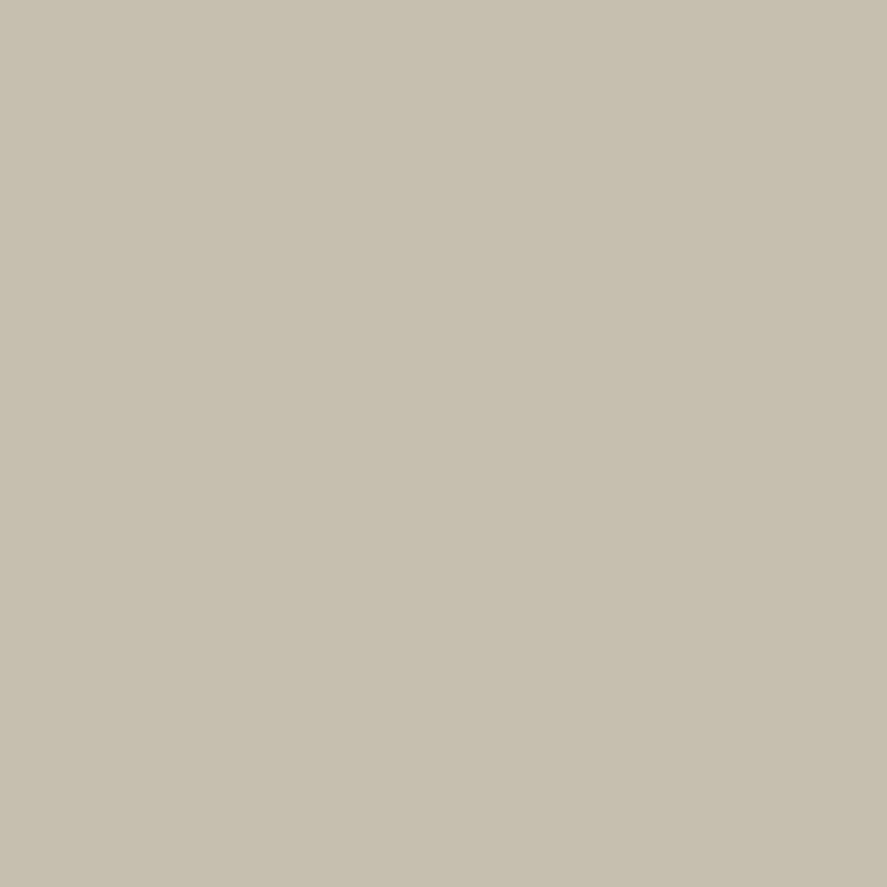 CW-50 Tyler Gray a Benjamin Moore paint color from the Williamsburg Color Collection.