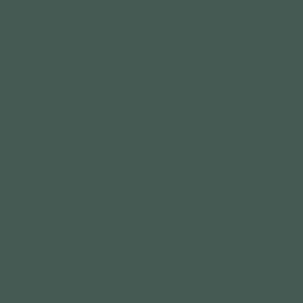 CW-555 Goodwin Green a Benjamin Moore paint color from the Williamsburg Color Collection.