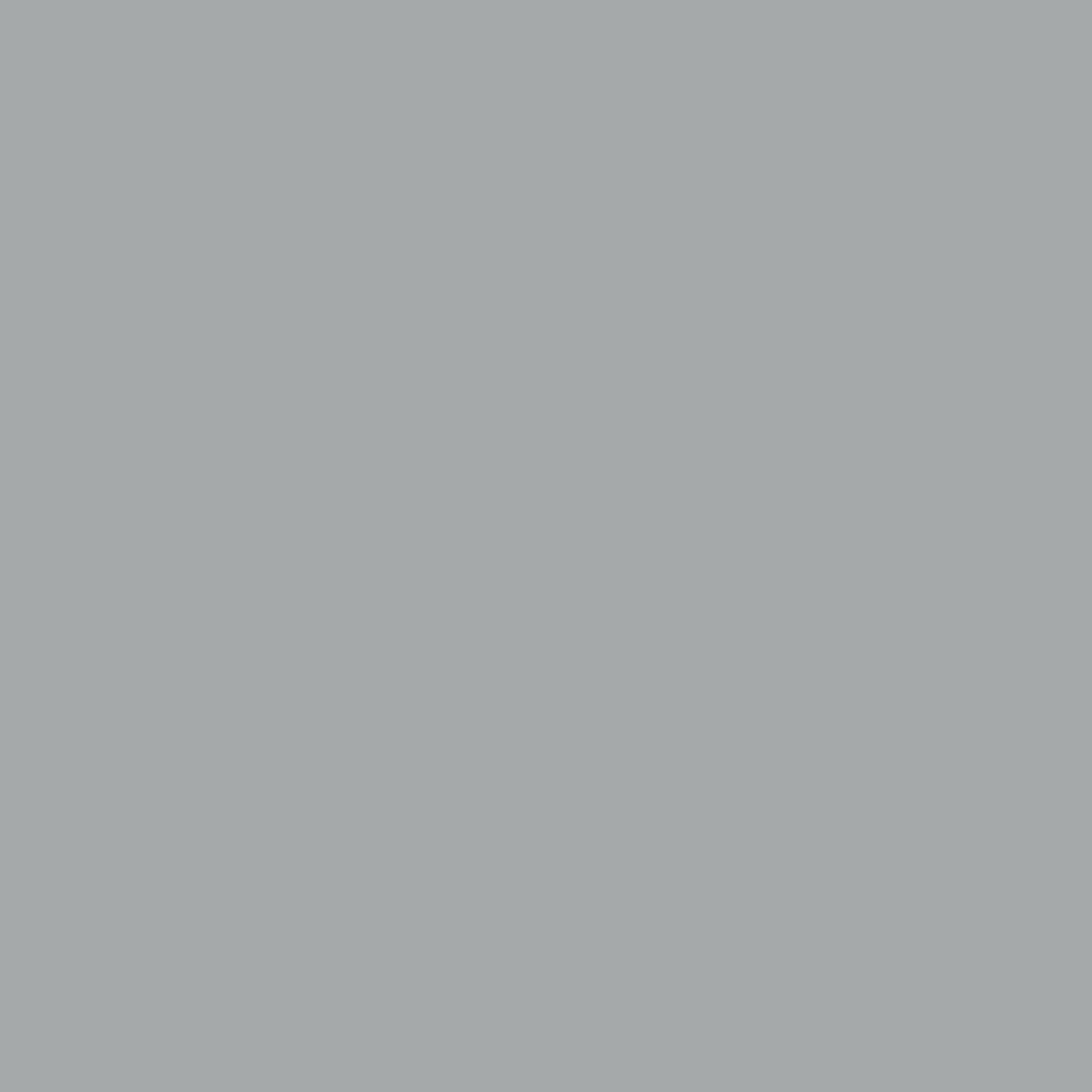 CW-700 Slate a Benjamin Moore paint color from the Williamsburg Color Collection.