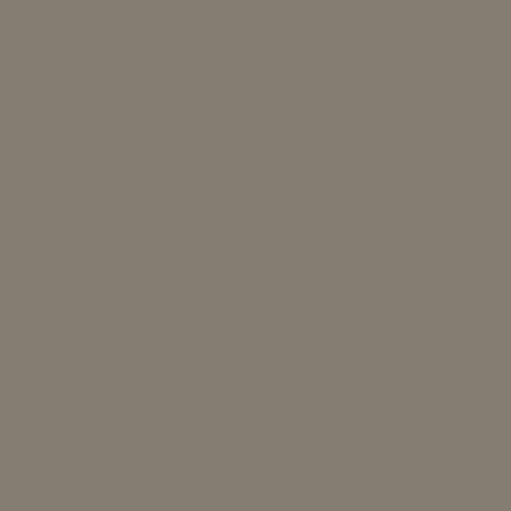 CW-80 Carter Gray a Benjamin Moore paint color from the Williamsburg Color Collection.
