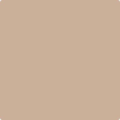 Shop Benajmin Moore's CC-366 Nubuck at West Whittier Paint. Whittier's local Benjamin Moore dealer. 